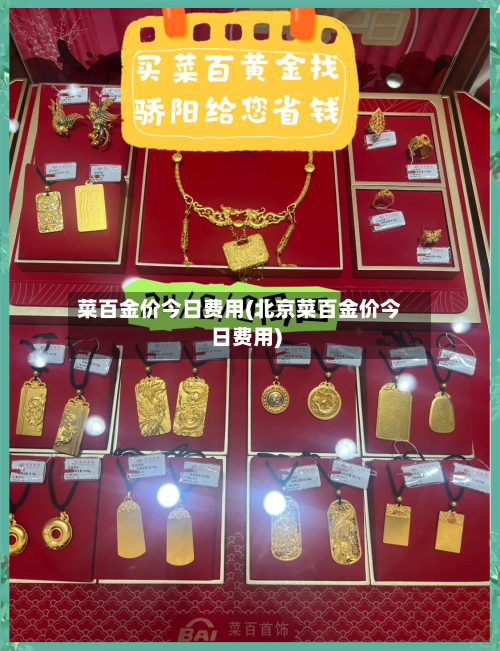 菜百金价今日费用(北京菜百金价今日费用)