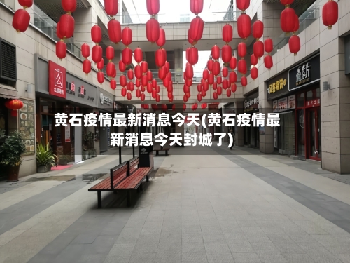 黄石疫情最新消息今天(黄石疫情最新消息今天封城了)-第3张图片