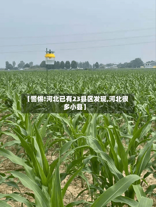 【警惕!河北已有23县区发现,河北很多小县】