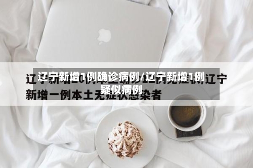 辽宁新增1例确诊病例/辽宁新增1例疑似病例