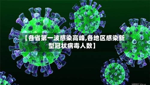 【各省第一波感染高峰,各地区感染新型冠状病毒人数】-第2张图片