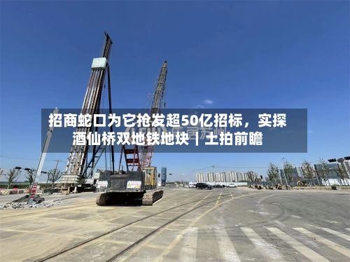 招商蛇口为它抢发超50亿招标，实探酒仙桥双地铁地块｜土拍前瞻