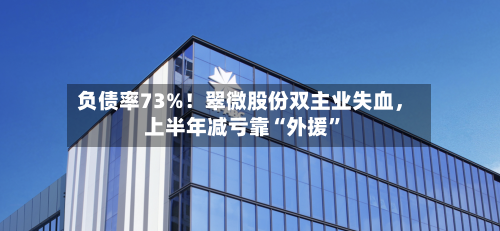 负债率73%！翠微股份双主业失血，上半年减亏靠“外援”