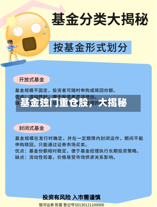 基金独门重仓股	，大揭秘-第3张图片