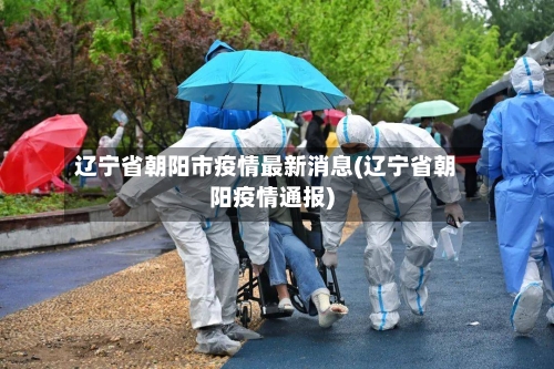 辽宁省朝阳市疫情最新消息(辽宁省朝阳疫情通报)-第2张图片