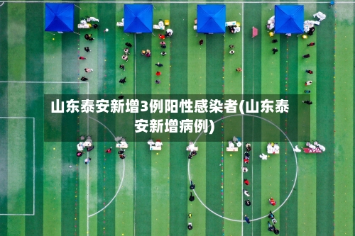 山东泰安新增3例阳性感染者(山东泰安新增病例)-第2张图片