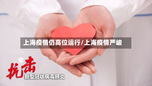 上海疫情仍高位运行/上海疫情严峻-第3张图片