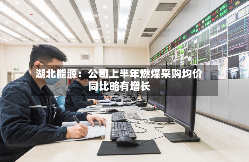 湖北能源：公司上半年燃煤采购均价同比略有增长-第2张图片