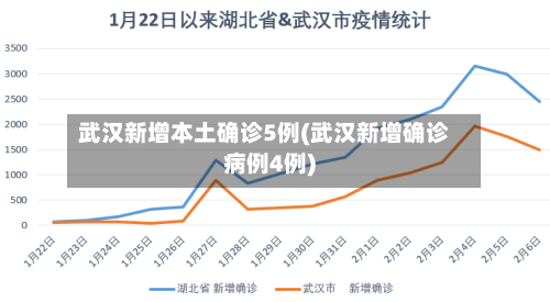 武汉新增本土确诊5例(武汉新增确诊病例4例)