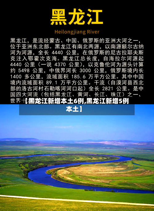 【黑龙江新增本土6例,黑龙江新增5例本土】-第2张图片