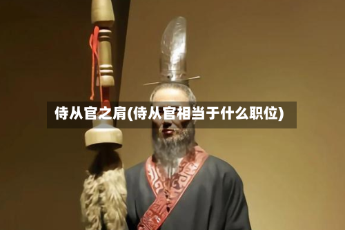 侍从官之肩(侍从官相当于什么职位)-第2张图片