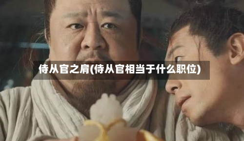 侍从官之肩(侍从官相当于什么职位)