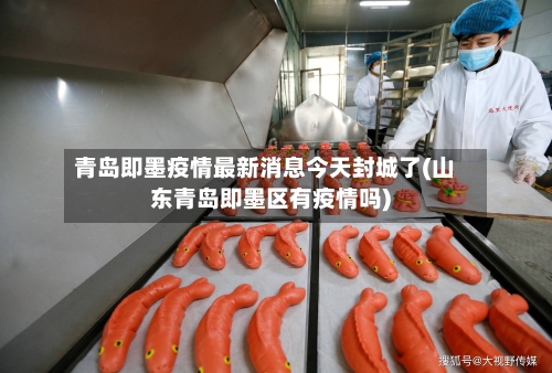 青岛即墨疫情最新消息今天封城了(山东青岛即墨区有疫情吗)-第2张图片