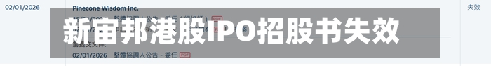 新宙邦港股IPO招股书失效