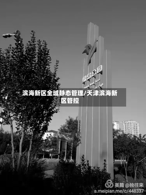 滨海新区全域静态管理/天津滨海新区管控