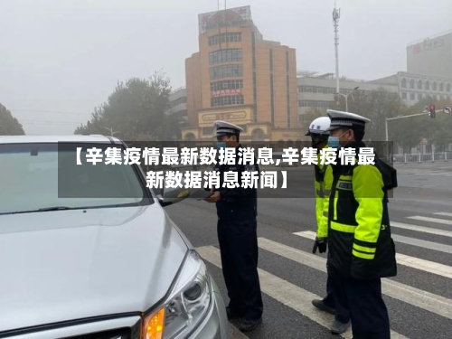 【辛集疫情最新数据消息,辛集疫情最新数据消息新闻】-第3张图片