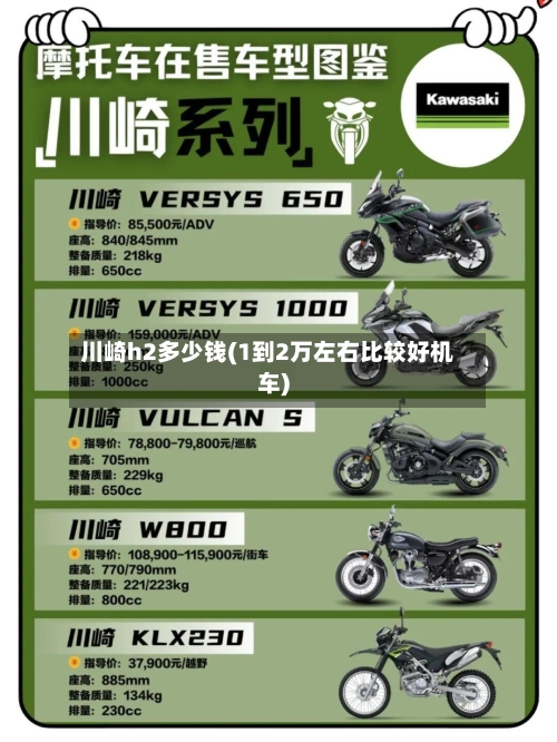 川崎h2多少钱(1到2万左右比较好机车)-第2张图片