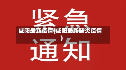 咸阳最新疫情(咸阳最新肺炎疫情)-第2张图片