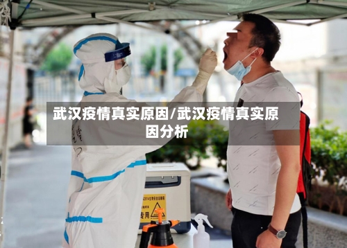 武汉疫情真实原因/武汉疫情真实原因分析-第2张图片
