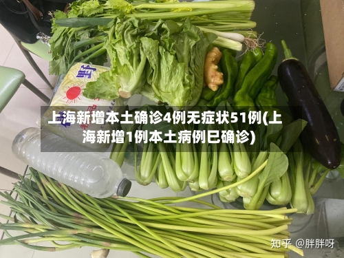 上海新增本土确诊4例无症状51例(上海新增1例本土病例巳确诊)-第2张图片