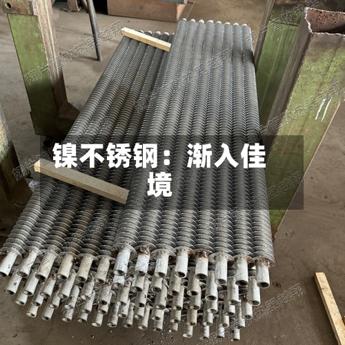 镍不锈钢：渐入佳境-第2张图片