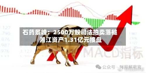 石药景峰:2500万股司法拍卖落槌 湘江资产1.31亿元接盘-第3张图片