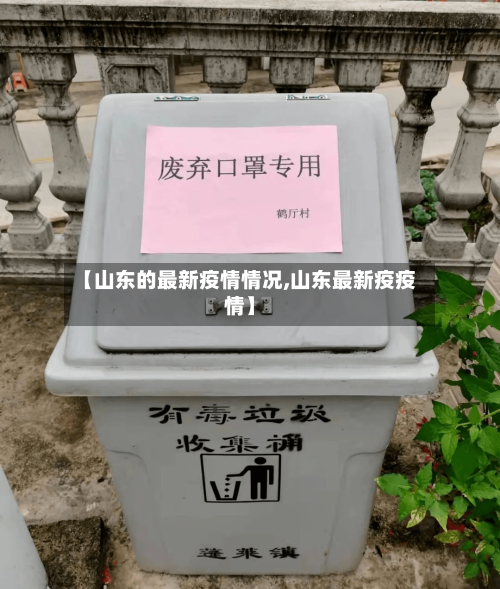 【山东的最新疫情情况,山东最新疫疫情】-第2张图片