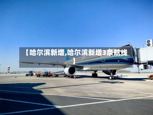 【哈尔滨新增,哈尔滨新增3条航线】
