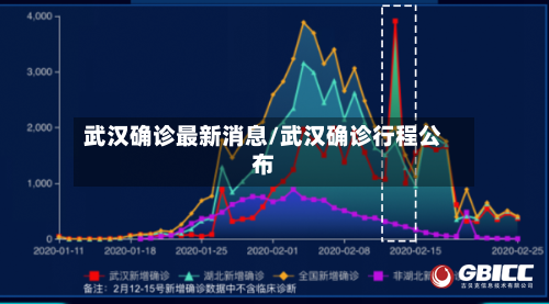 武汉确诊最新消息/武汉确诊行程公布