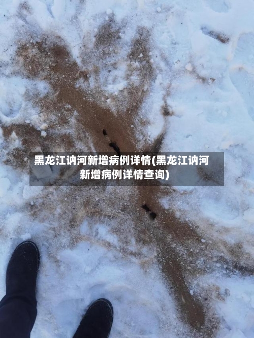 黑龙江讷河新增病例详情(黑龙江讷河新增病例详情查询)-第3张图片