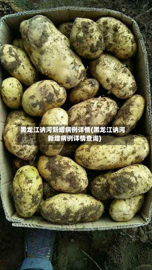 黑龙江讷河新增病例详情(黑龙江讷河新增病例详情查询)