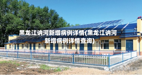 黑龙江讷河新增病例详情(黑龙江讷河新增病例详情查询)-第2张图片