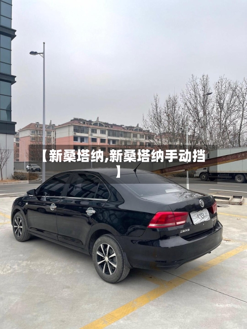 【新桑塔纳,新桑塔纳手动挡】-第2张图片