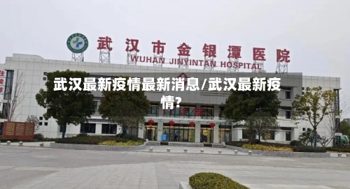 武汉最新疫情最新消息/武汉最新疫情?-第2张图片
