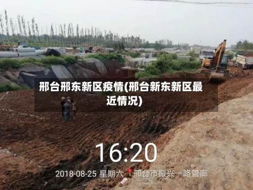 邢台邢东新区疫情(邢台新东新区最近情况)-第2张图片