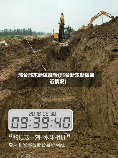 邢台邢东新区疫情(邢台新东新区最近情况)