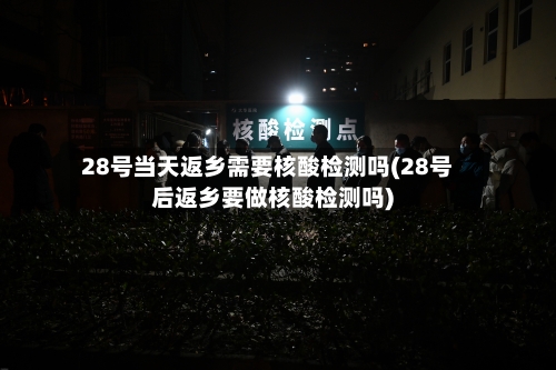 28号当天返乡需要核酸检测吗(28号后返乡要做核酸检测吗)-第2张图片
