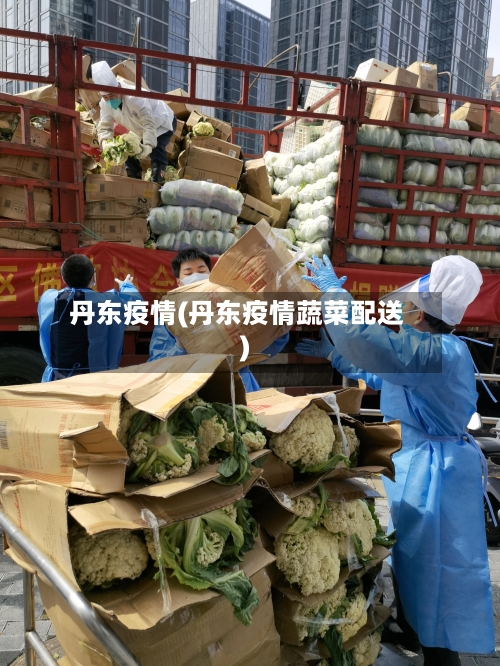 丹东疫情(丹东疫情蔬菜配送)