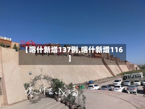 【喀什新增137例,喀什新增116】-第3张图片