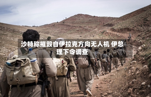 沙特称摧毁自伊拉克方向无人机 伊总理下令调查