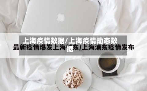上海疫情数据/上海疫情动态数据-第2张图片