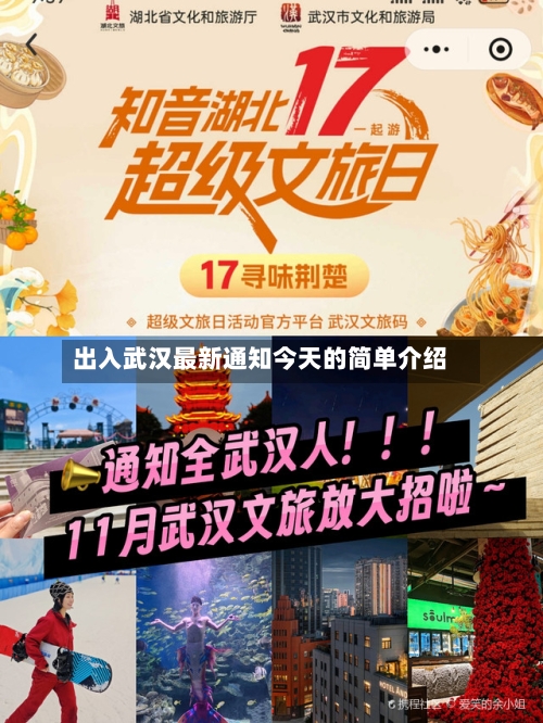出入武汉最新通知今天的简单介绍