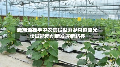 大唐世界新能源携手中农信投探索乡村道路光伏微能网创新发展新路径