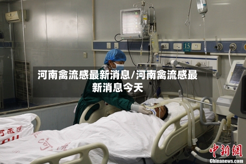 河南禽流感最新消息/河南禽流感最新消息今天