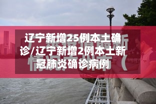 辽宁新增25例本土确诊/辽宁新增2例本土新冠肺炎确诊病例-第3张图片