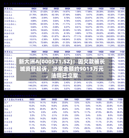 新大洲A(000571.SZ)：因欠款被长城资管起诉，涉案金额约9013万元，法院已立案