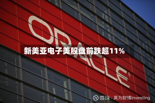 新美亚电子美股盘前跌超11%