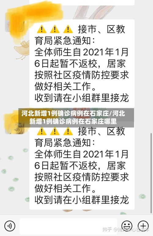 河北新增1例确诊病例在石家庄/河北新增1例确诊病例在石家庄哪里-第2张图片