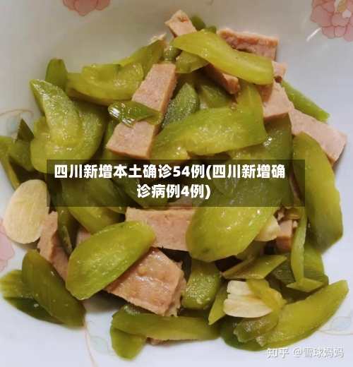 四川新增本土确诊54例(四川新增确诊病例4例)-第2张图片