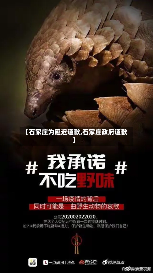 【石家庄为延迟道歉,石家庄政府道歉】